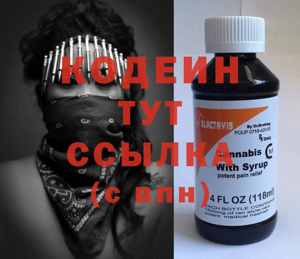 прущие грибы Горняк